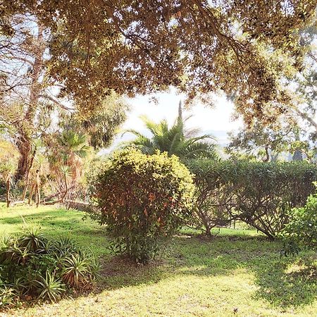 La Suite Costabella A Hyeres-Les-Palmiers 외부 사진