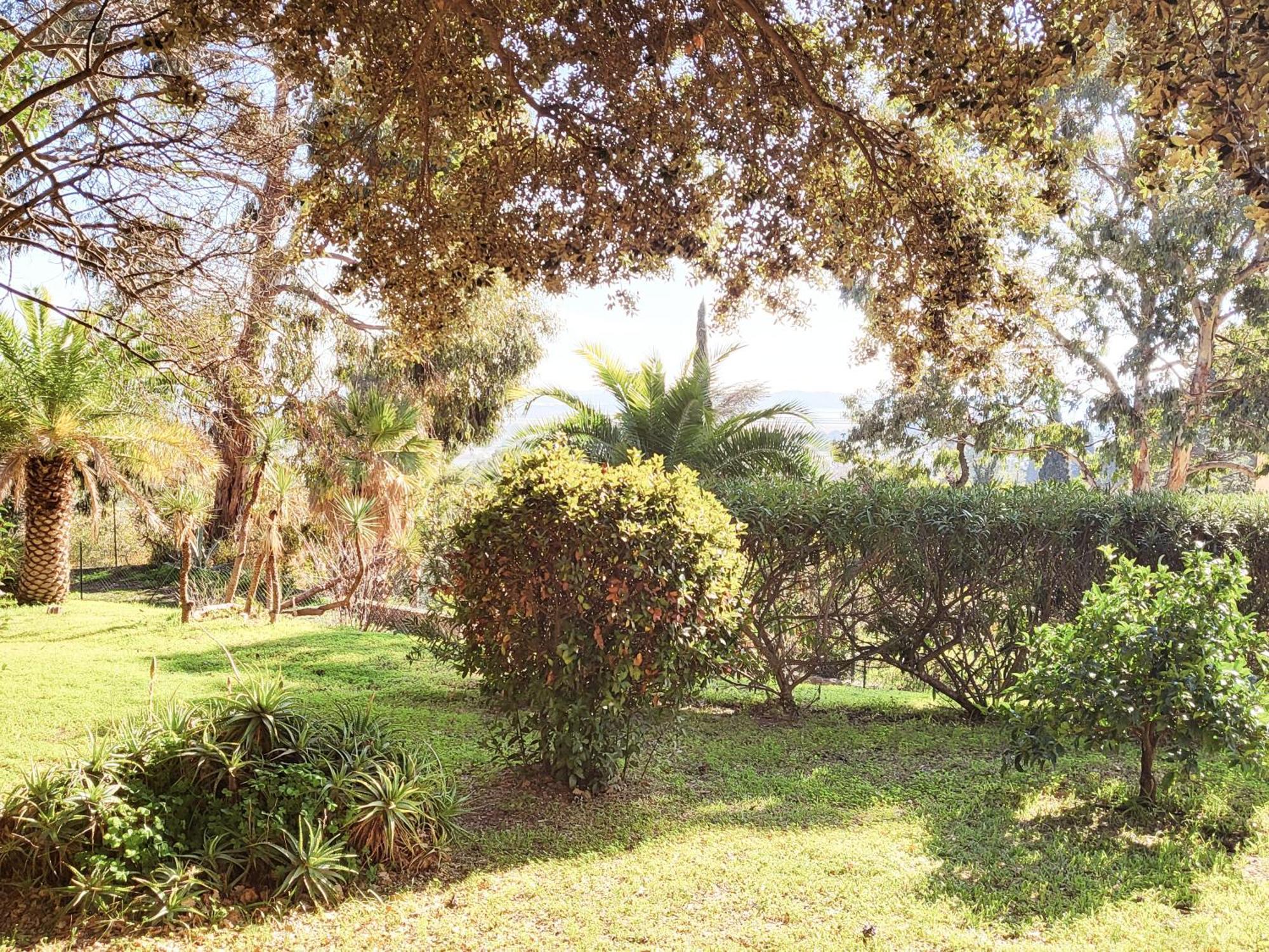 La Suite Costabella A Hyeres-Les-Palmiers 외부 사진